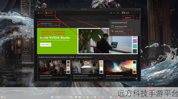 轻松解决 Windows 扫描驱动器错误难题，你也行！