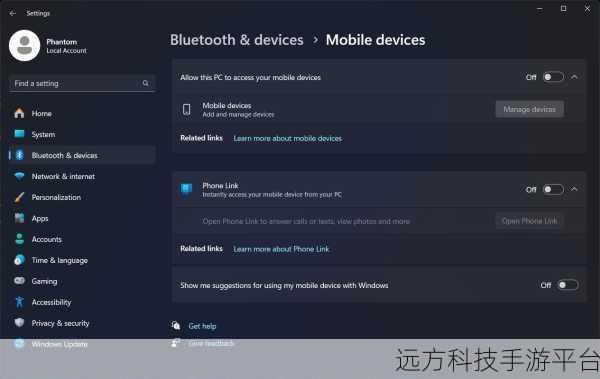 轻松掌控 Win11 窗口大小，让操作更随心