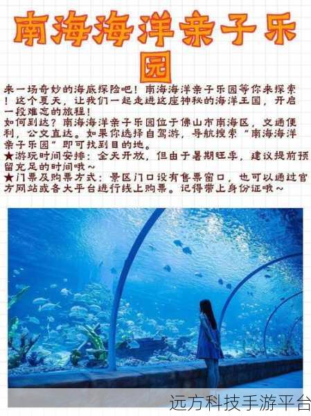 探秘海洋之家，挑战极限岛屿生存之旅