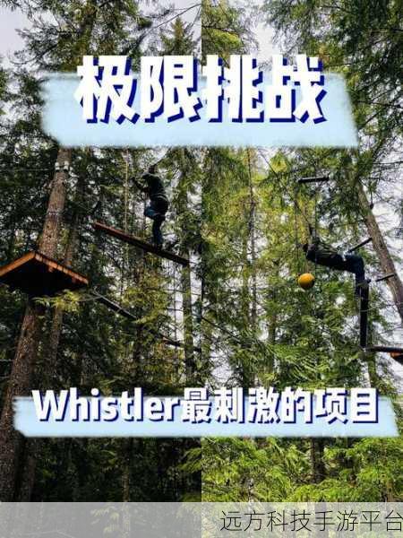 落樱kawaii，建筑模拟新纪元，挑战你的创意极限