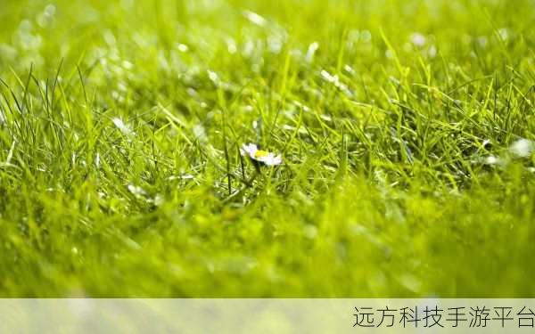呵护双眼,从这些高清电脑桌面壁纸开始