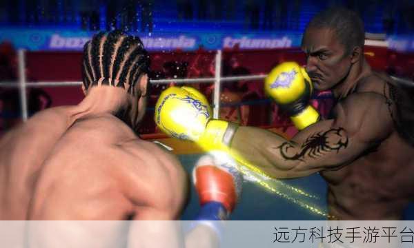 低模拳击之王，燃爆指尖的拳击格斗盛宴