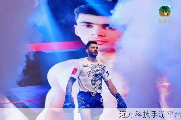 低模拳击之王,燃爆指尖的拳击格斗盛宴