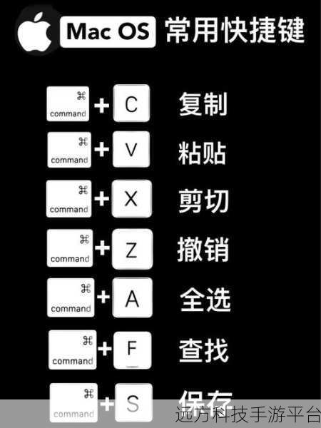 掌握苹果电脑快捷键设置，效率飞升秘籍