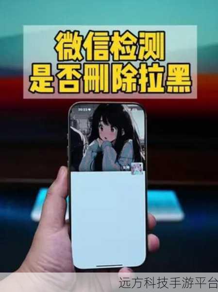 掌握微信好友拉黑秘籍,让社交更随心