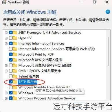 探索神秘的 scSC 命令，开启无限可能