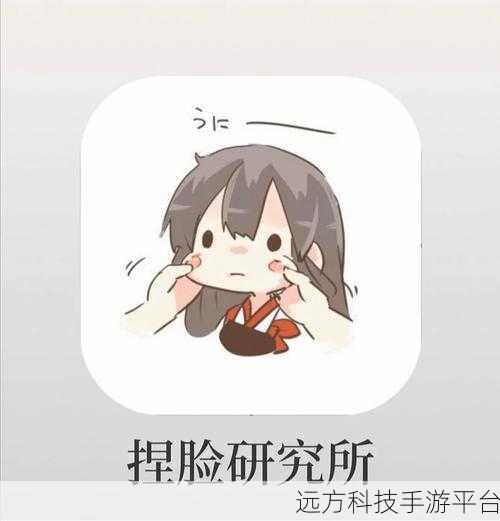 探索无限创意,二次元捏脸新纪元——捏脸研究所APP深度解析