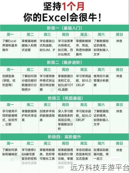 从零开始,新手轻松驾驭 Excel 表格制作秘籍