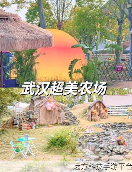 猪猪乐园1.0.0，打造你的梦幻农场，体验趣味休闲新篇章