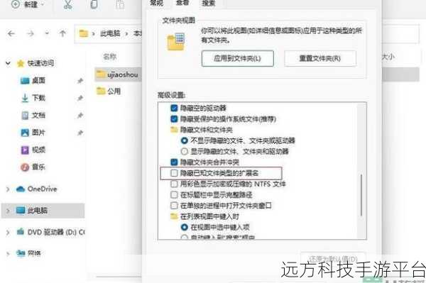 Windows11 文件后缀修改秘籍大公开