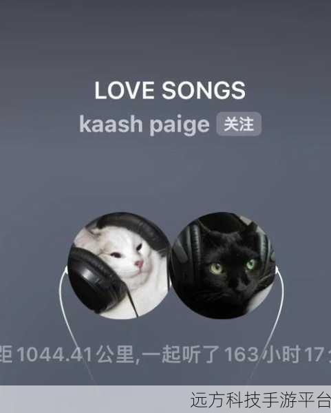 波点音乐一起听，当另一方悄然离线