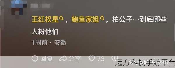 抖音网页版弹幕消失之谜,是技术故障还是另有隐情?