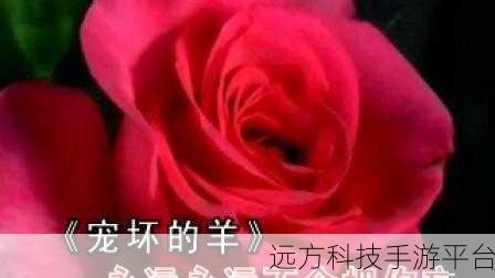 优酷视频渐失宠，背后原因大揭秘