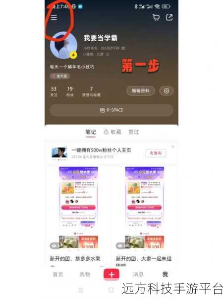 掌握小红书置顶作者评论秘籍，让你的互动更精彩