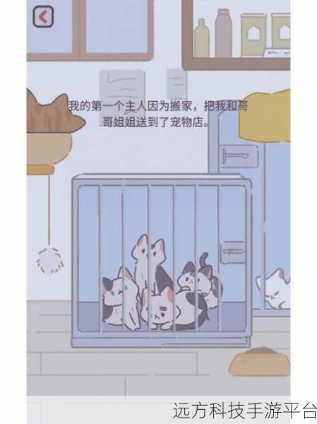 遇见你的猫手机版来袭，萌宠养成，温馨日常等你探索