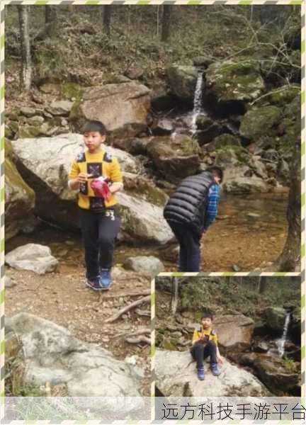 探索小米 6 手机型号修改的神秘之旅