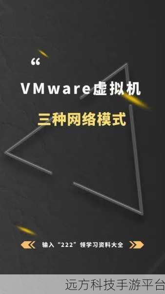 探索 VMware 虚拟机的神奇网络连接之道
