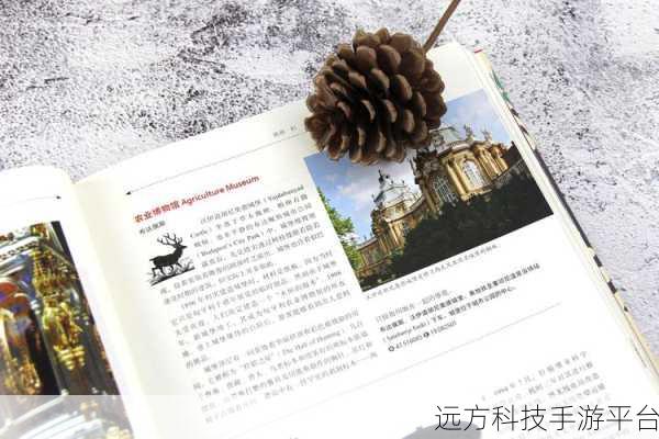 探寻基础开发与业务开发的不同世界