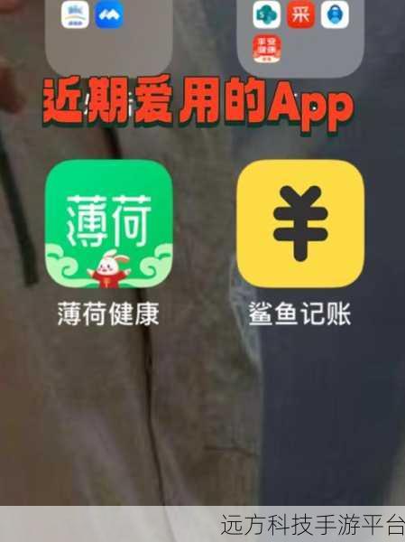 轻松掌握鲨鱼记账收支周期的秘诀