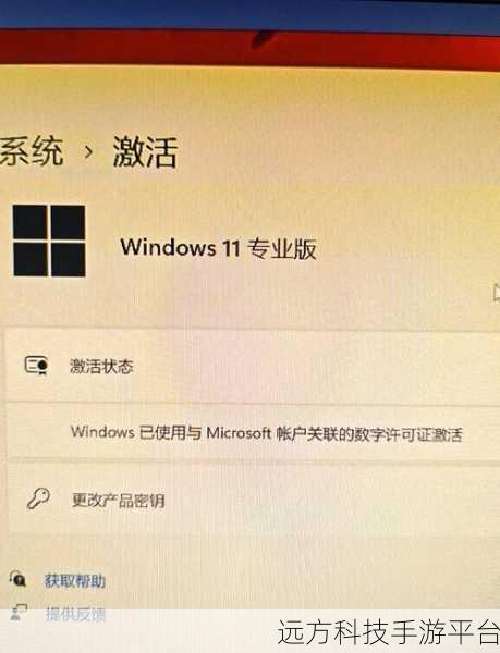 轻松掌握,Win11 查看内存频率的奇妙方法