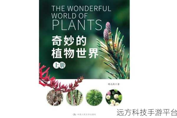 探索易语言中, -, ×, ÷ 热键注册的奇妙世界