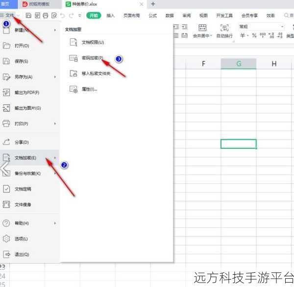 WPS 表格图片消失之谜,你知道原因吗?