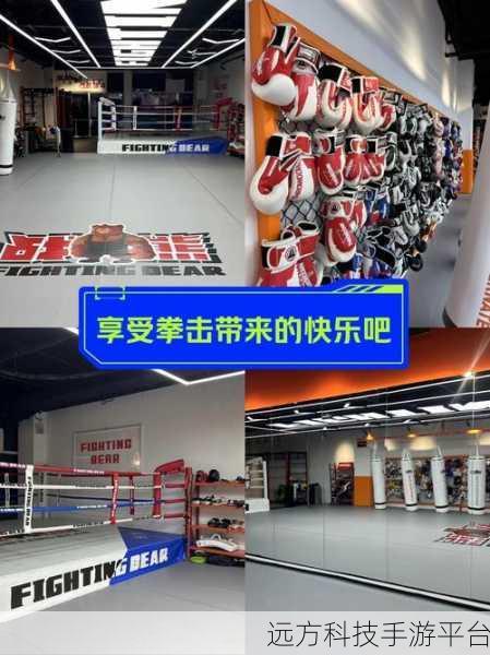 天天炫斗免内购版震撼来袭，格斗爱好者不容错过！