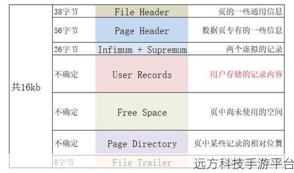 深入探究 MySQL 中 IN 与 ANY 的神秘差异