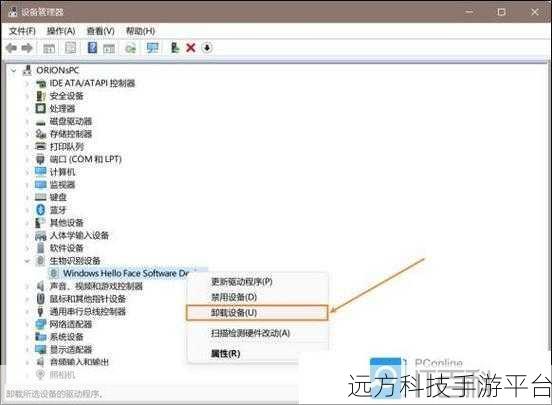 轻松掌握戴尔电脑Win11面部识别设置秘籍
