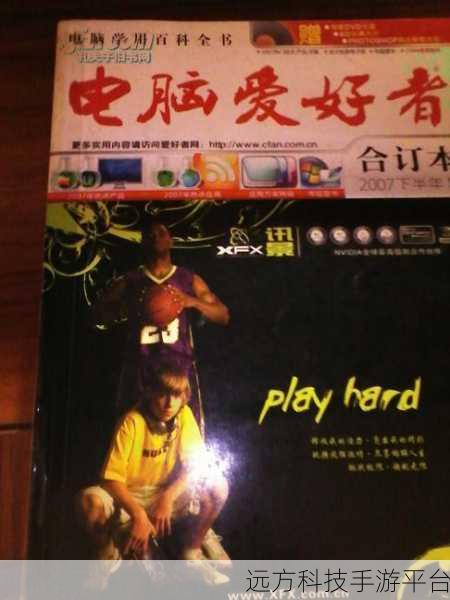 探索 2010 上半年电脑爱好者的精彩世界