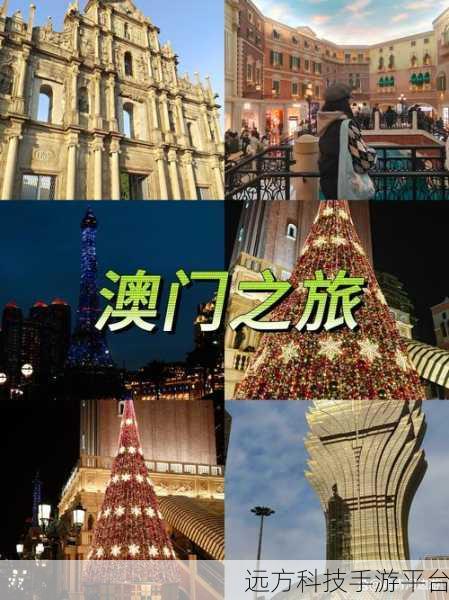 我开豪车养你,打造梦幻经营之旅,下载开启富豪人生
