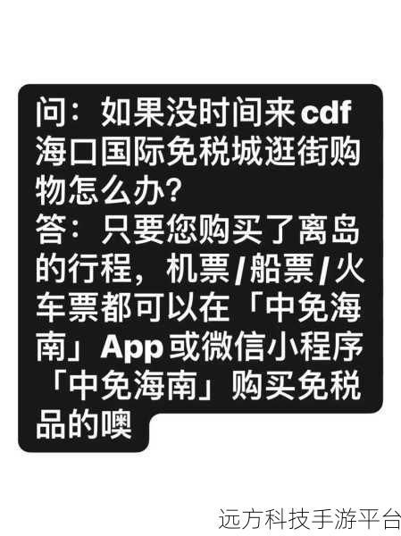 探索海口 CDF 免税店购物秘籍，轻松买买买