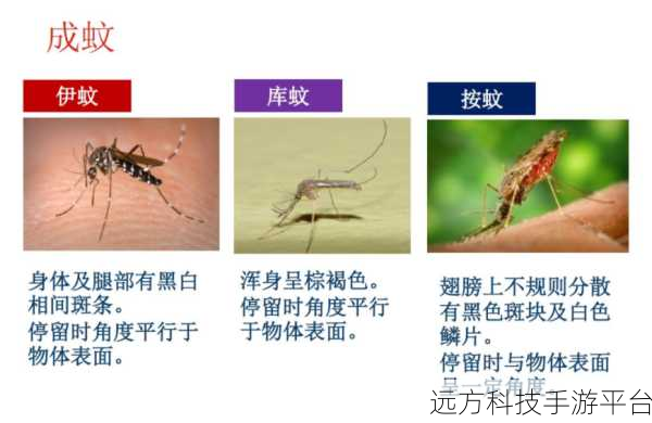 灭蚊大战一触即发!蚊子大作战免广告版等你来战