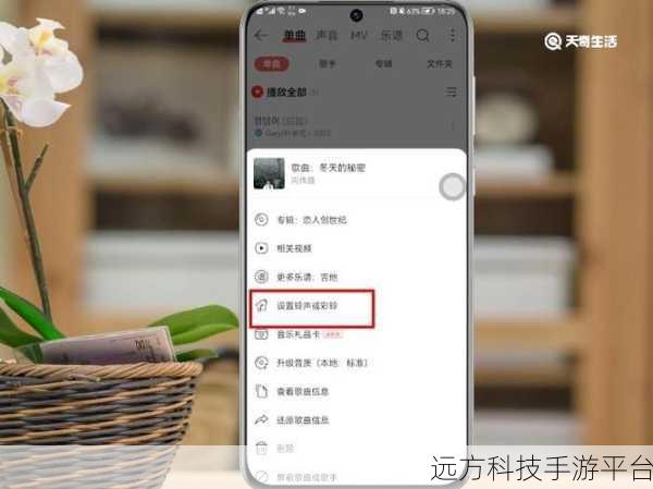 轻松掌握网易云音乐片段截取秘籍