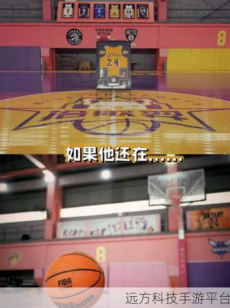 趣豆豆篮球，点燃指尖上的篮球激情