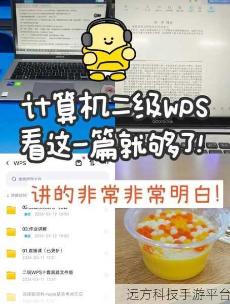 轻松掌握 WPS 访客登录秘籍，你会了吗？