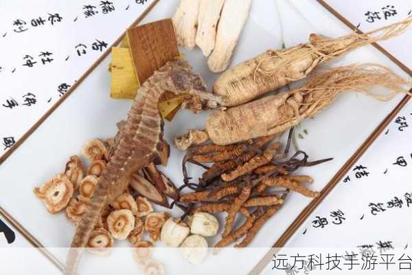 探寻海马生育后代的神秘之地