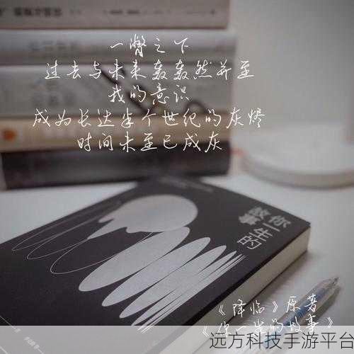 探寻光速写作的神秘世界,是否存在重复的可能