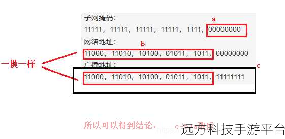 免费获取 IP 地址解析 API 接口，开启网络新世界
