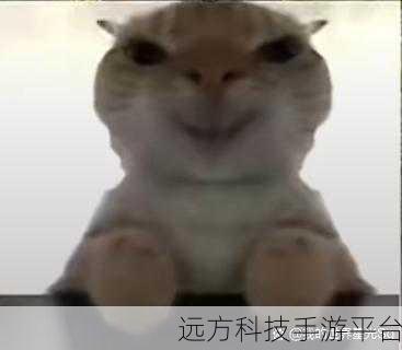 猫猫地铁大冒险,趣味俯视射击,挑战时间极限!
