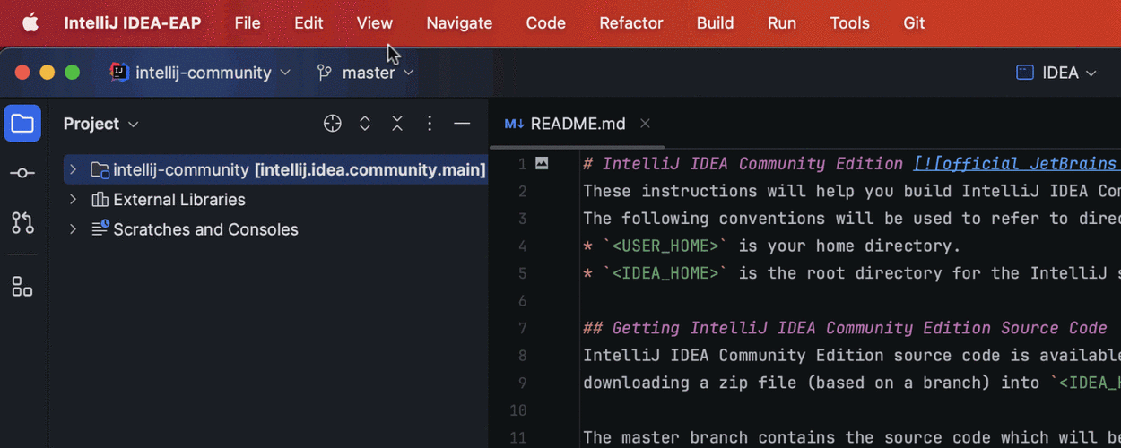 探索 IntelliJ IDEA EAP 版本的神秘世界