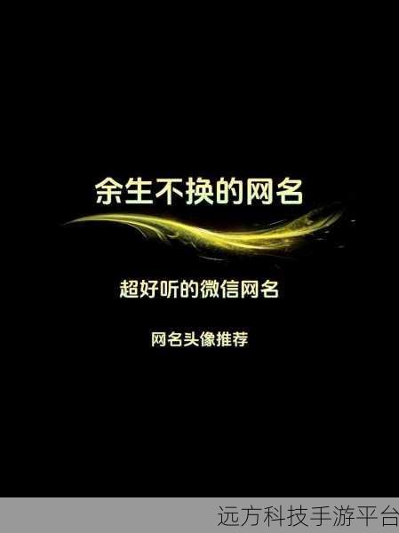 探索微信昵称的个性修改秘籍，你知道吗？