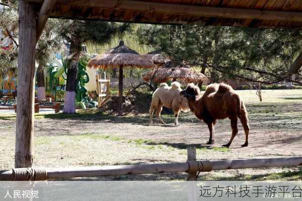 块状动物园大亨,打造你的梦幻动物王国