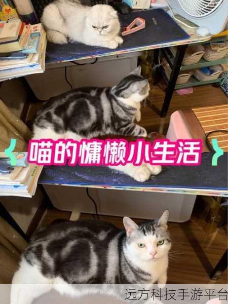 懒猫公司大亨，打造你的喵星人商业帝国