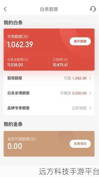 深入解析京东白条，从功能到还款全攻略