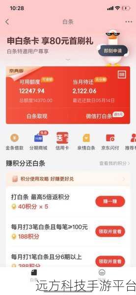 深入解析京东白条,从功能到还款全攻略