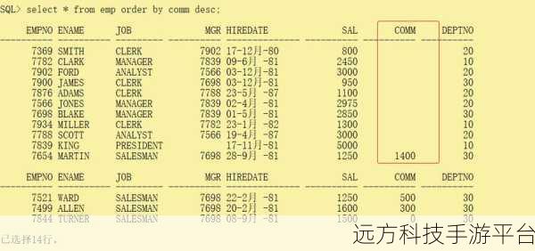 深入探索 Oracle 数据库中 Chr和 Concat 函数的神奇世界