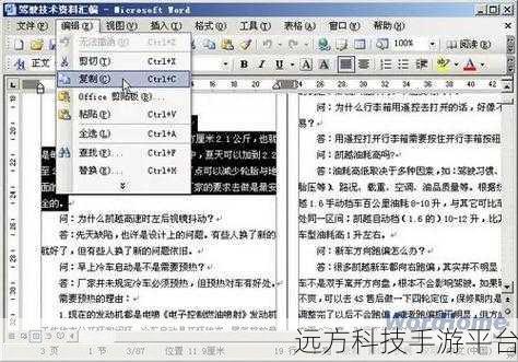 Word2003 文档图片固定秘籍大公开