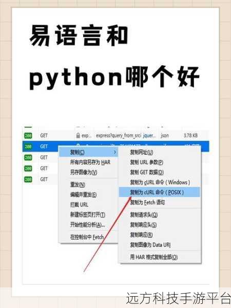 深入探索易语言数据库中取记录数命令的奥秘