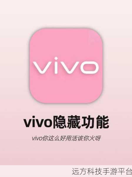 轻松解锁，vivo 拦截电话的神秘藏身之处
